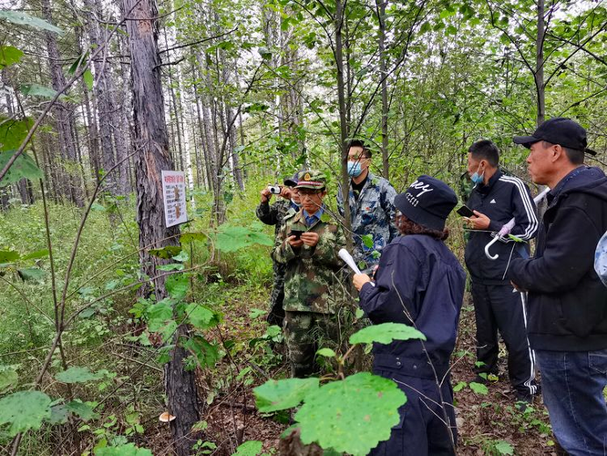 新林林业局对松材线虫病疫情防控和林业有害生物防治工作进行督导检查