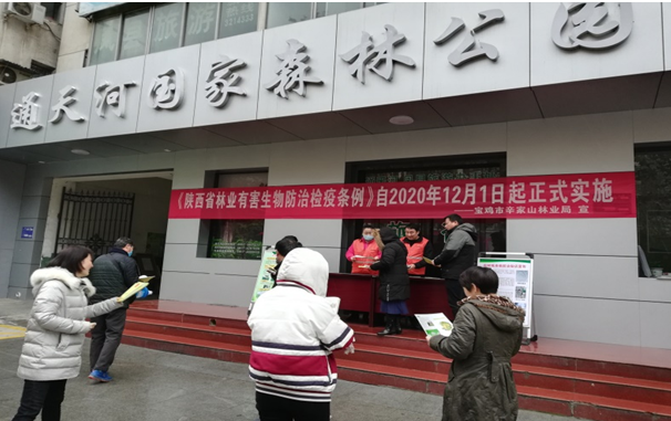 宝鸡市组织开展《陕西省林业有害生物防治检疫条例》主题宣传日活动